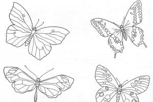 Поделка бабочка: как сделать красивую поделку своими руками из подручных материалов Бабочки из бумаги своими руками